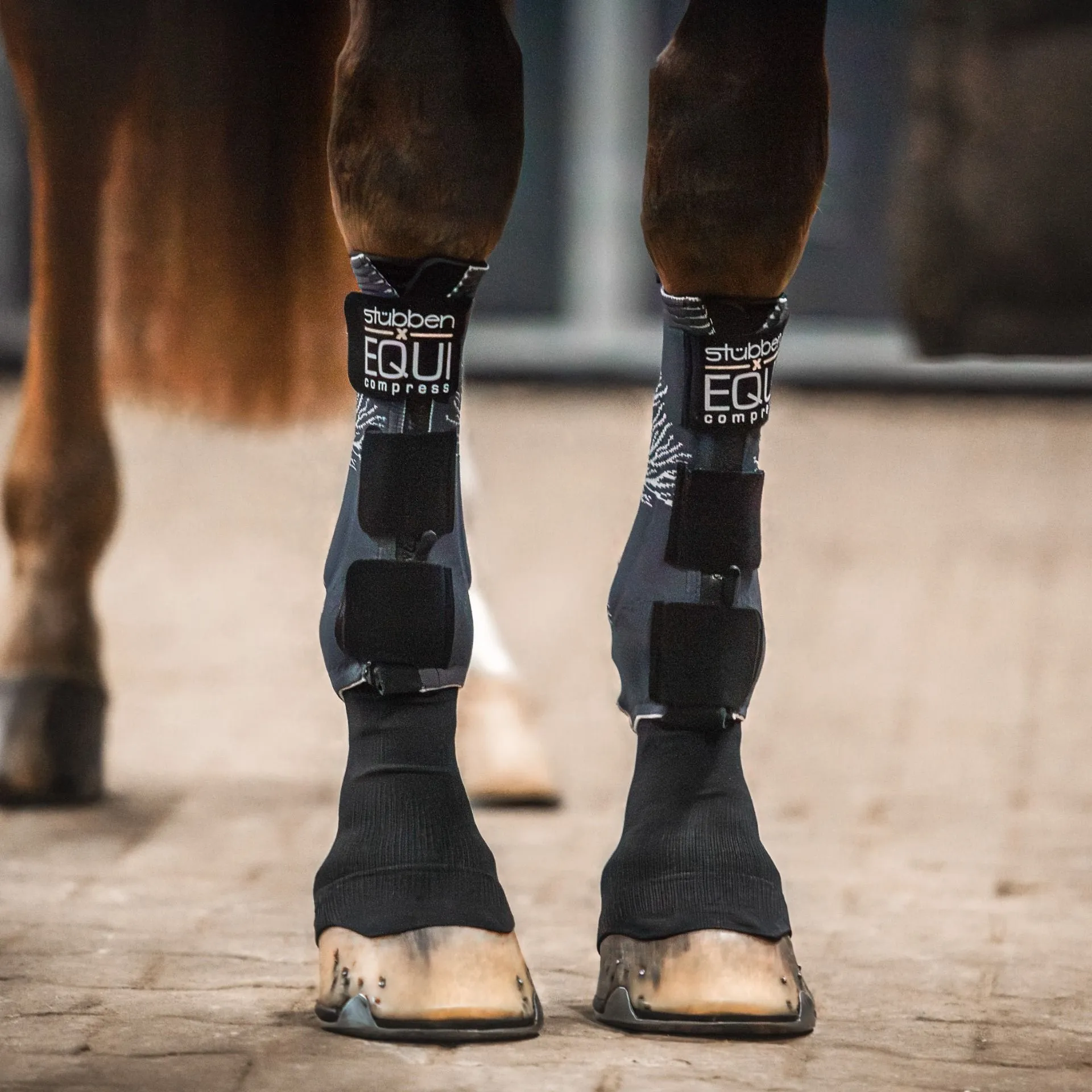 Equi Compress Set