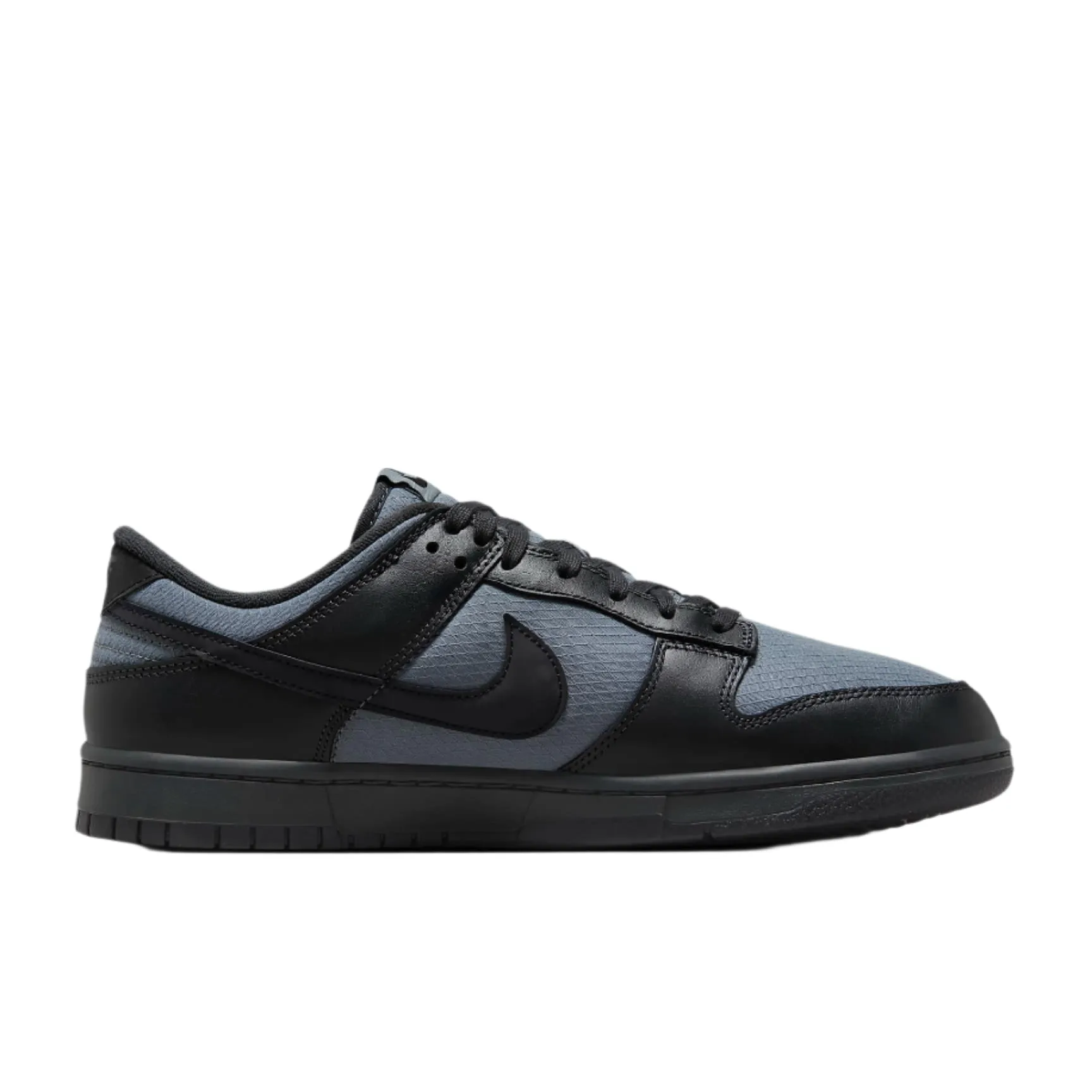 Nike Dunk Low Retro SE Men's Winterized Shoes