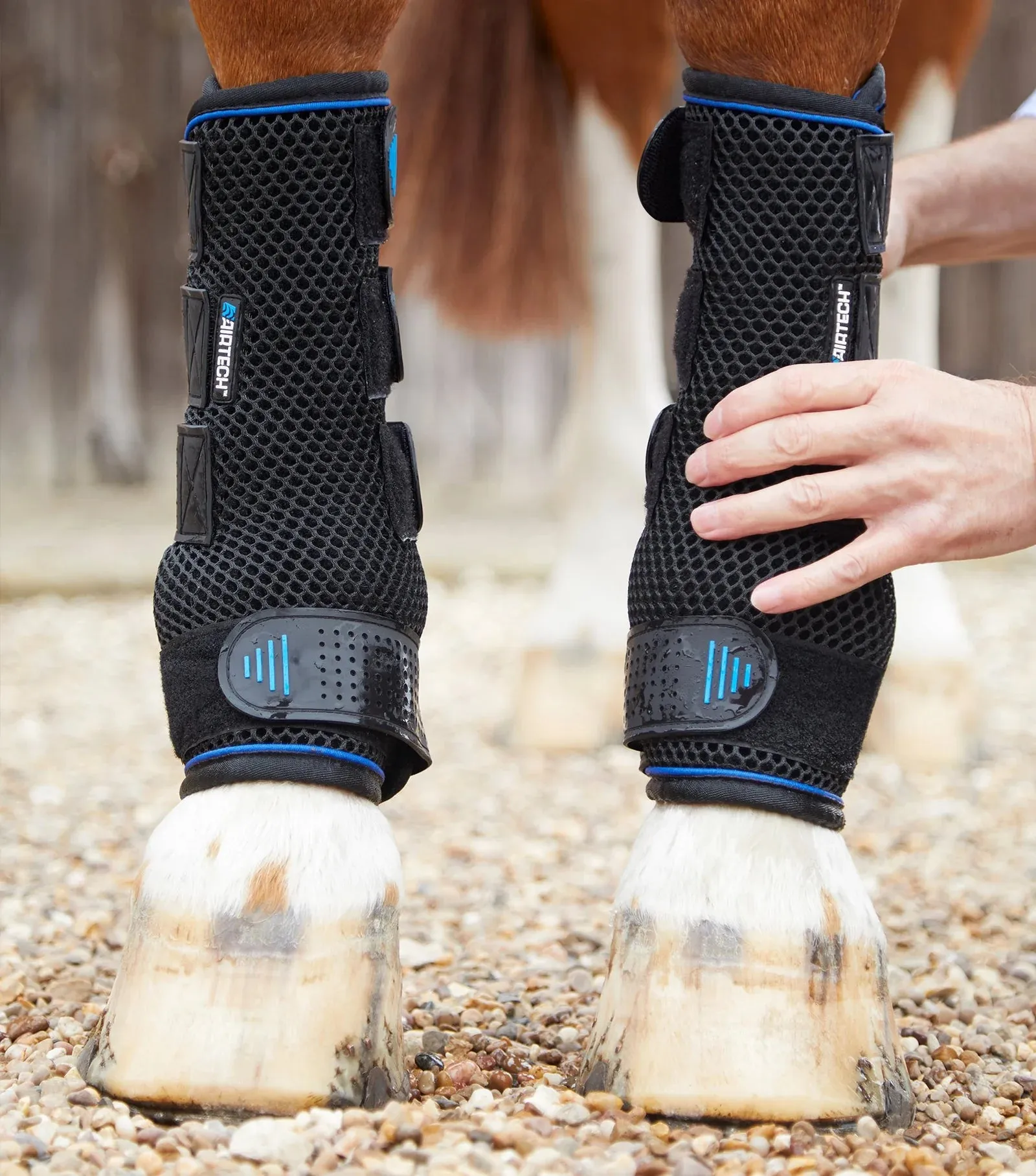Premier Equine Cold Water Compression Therapy Boots