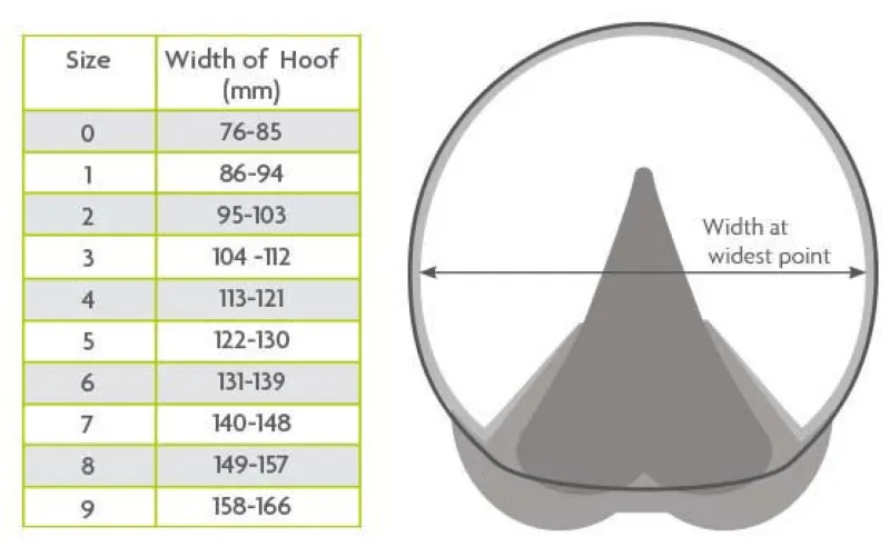WW Medical Hoof Boot