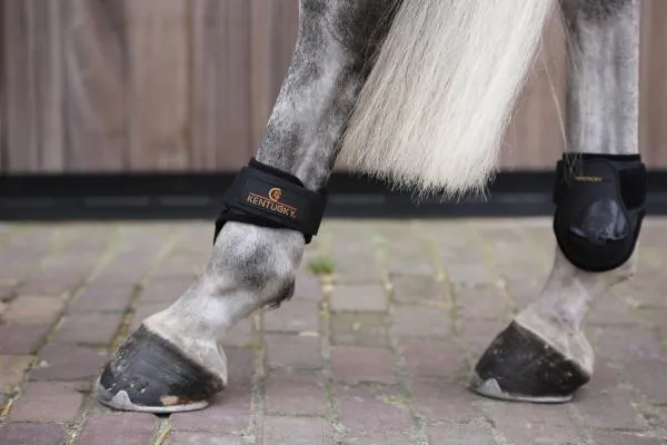Young Horse Fetlock Boots