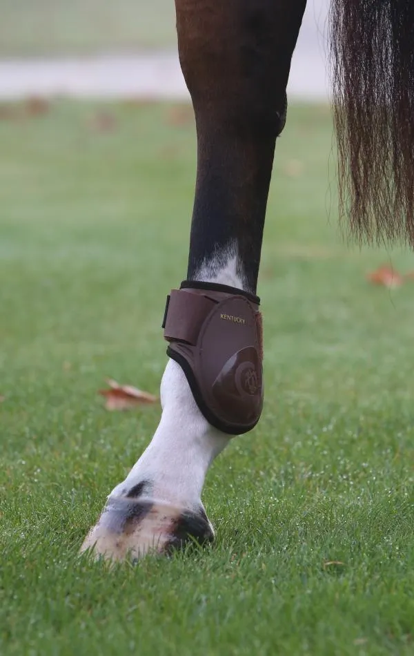 Young Horse Fetlock Boots