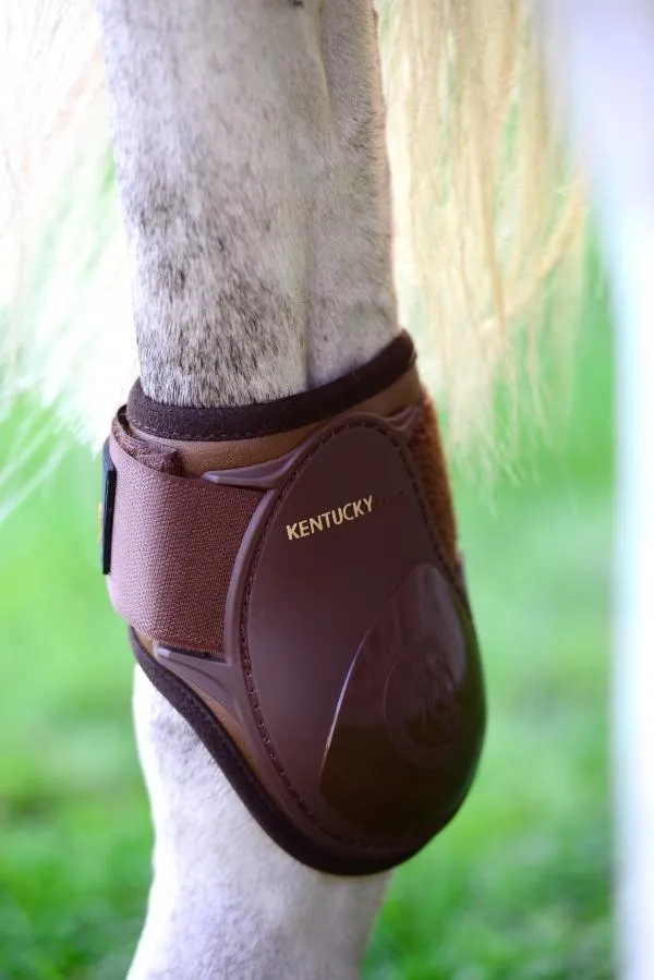 Young Horse Fetlock Boots