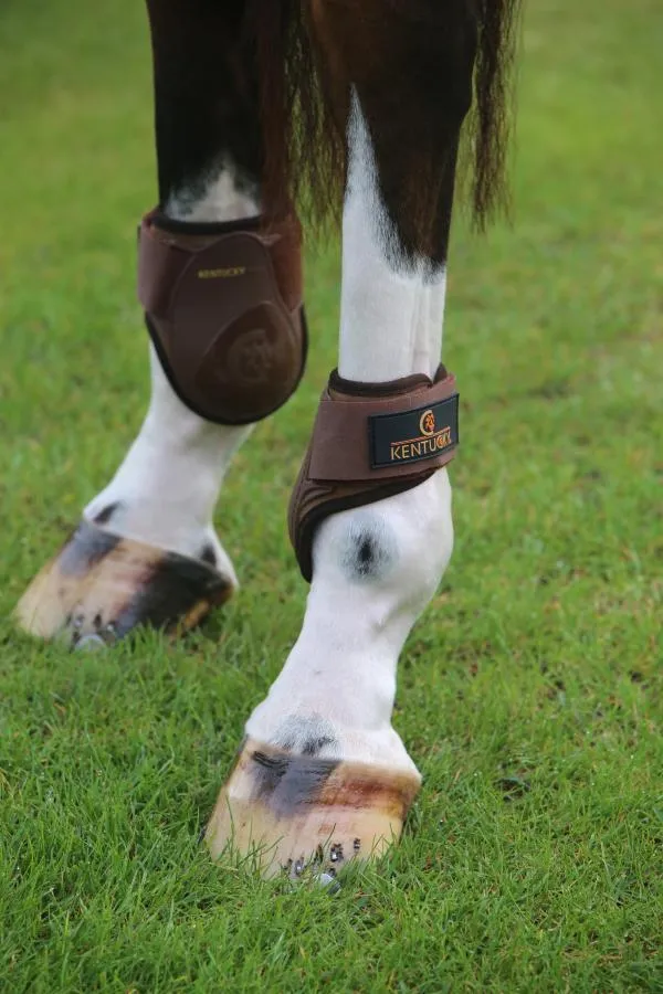 Young Horse Fetlock Boots