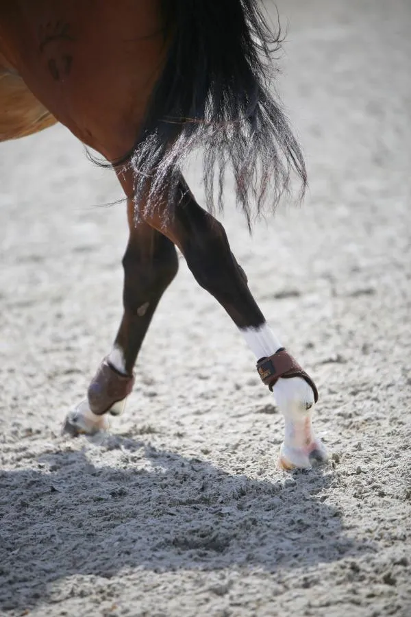 Young Horse Fetlock Boots